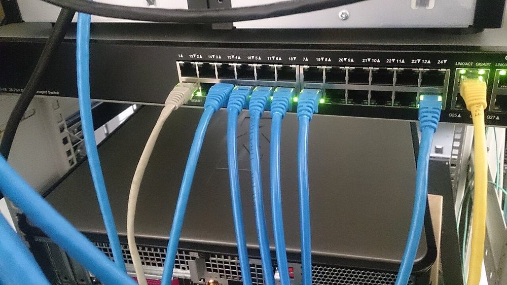 Blue network cables plugged into a rack-mounted switch